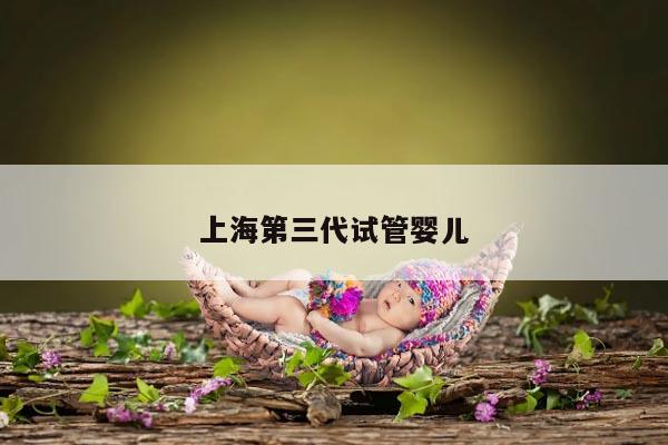 上海第三代试管婴儿