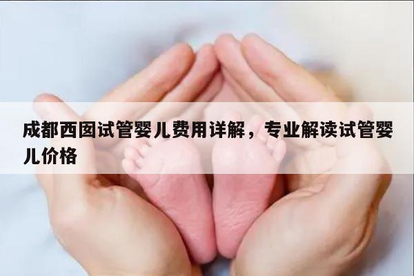成都西囡试管婴儿费用详解，专业解读试管婴儿价格