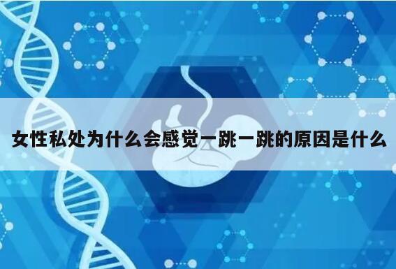 女性私处为什么会感觉一跳一跳的原因是什么