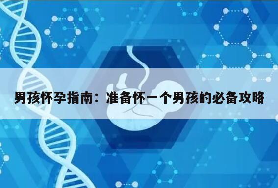 男孩怀孕指南：准备怀一个男孩的必备攻略