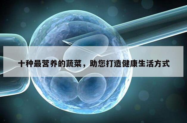 十种最营养的蔬菜，助您打造健康生活方式