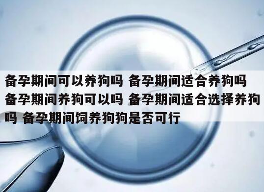 备孕期间可以养狗吗 备孕期间适合养狗吗 备孕期间养狗可以吗 备孕期间适合选择养狗吗 备孕期间饲养狗狗是否可行
