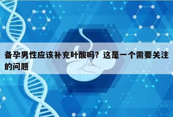 备孕男性应该补充叶酸吗？这是一个需要关注的问题