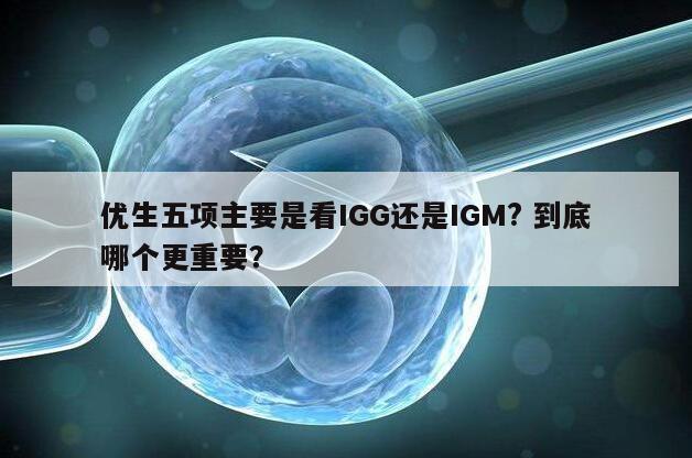 优生五项主要是看IGG还是IGM? 到底哪个更重要？