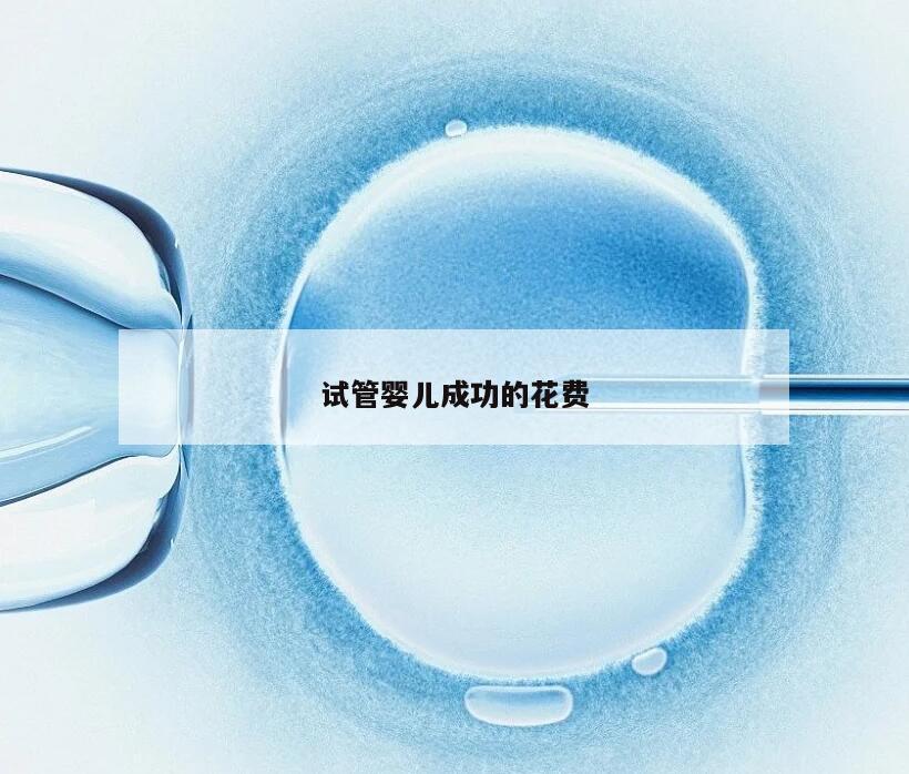 试管婴儿成功的花费