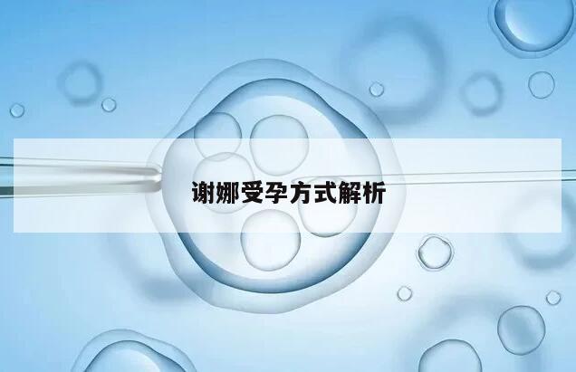 谢娜受孕方式解析