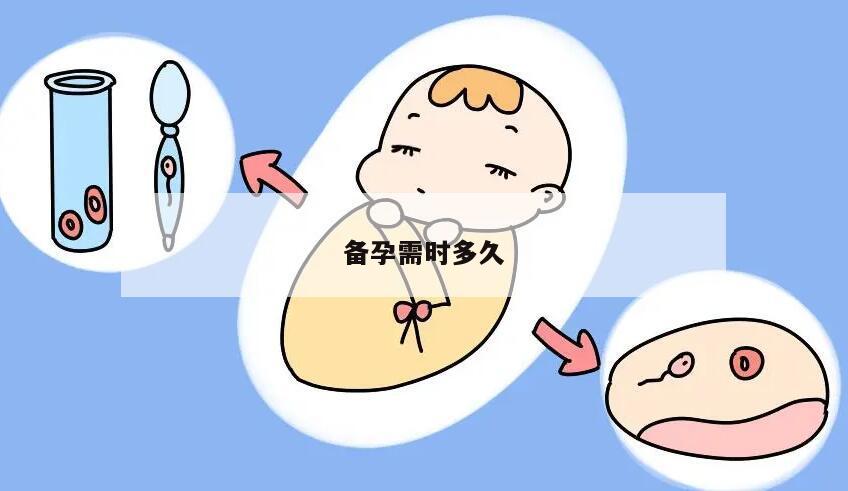 备孕需时多久
