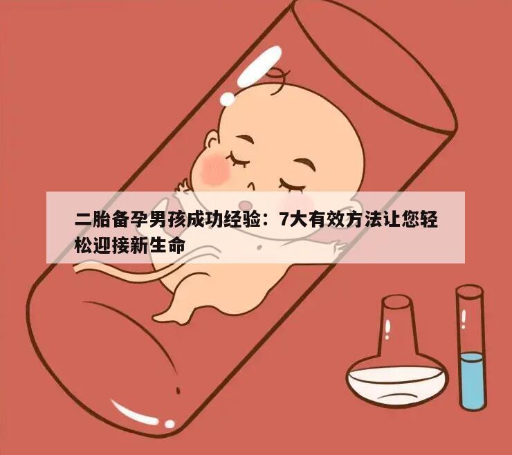 二胎备孕男孩成功经验：7大有效方法让您轻松迎接新生命