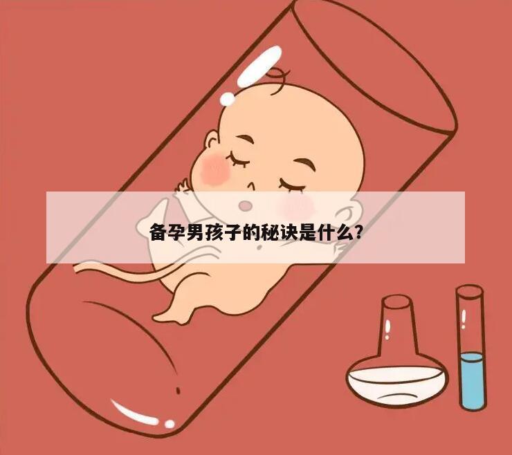 备孕男孩子的秘诀是什么？