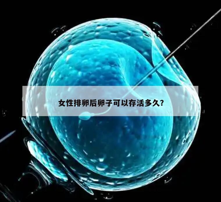 女性排卵后卵子可以存活多久？