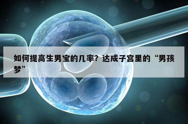 如何提高生男宝的几率？达成子宫里的“男孩梦”