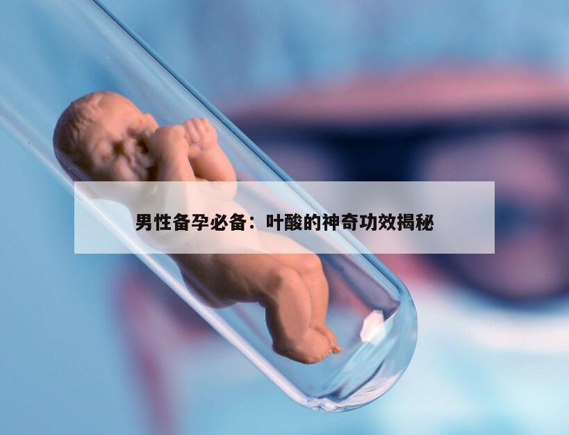 男性备孕必备：叶酸的神奇功效揭秘