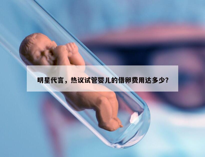 明星代言，热议试管婴儿的借卵费用达多少？