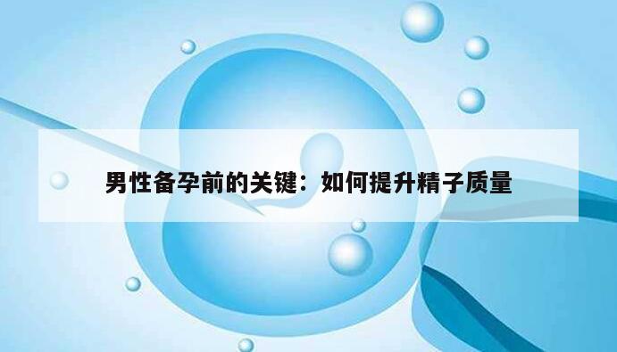 男性备孕前的关键：如何提升精子质量