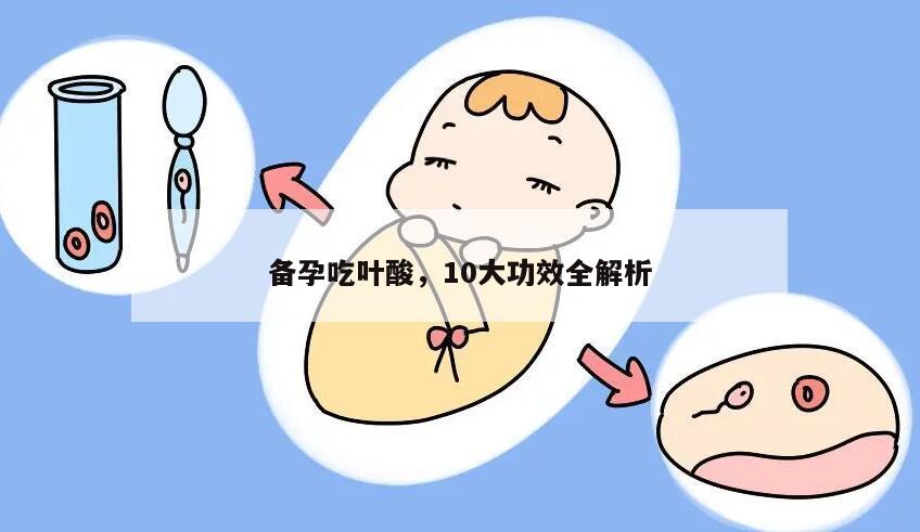 备孕吃叶酸，10大功效全解析