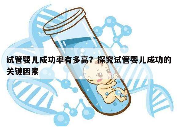 试管婴儿成功率有多高？探究试管婴儿成功的关键因素