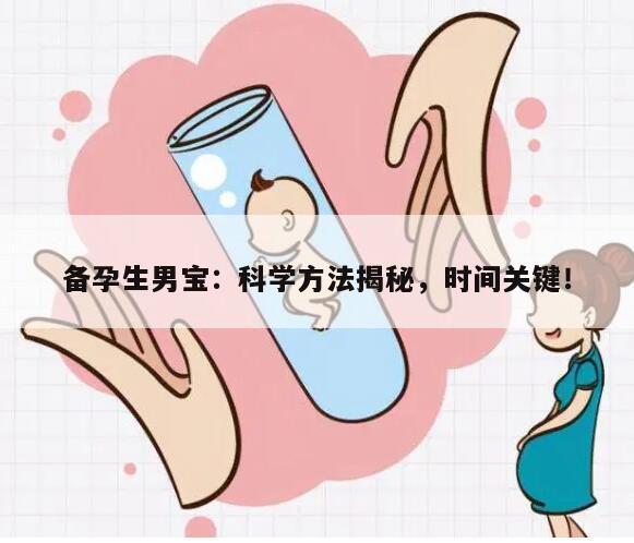 备孕生男宝：科学方法揭秘，时间关键！