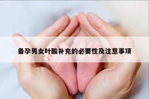 备孕男女叶酸补充的必要性及注意事项