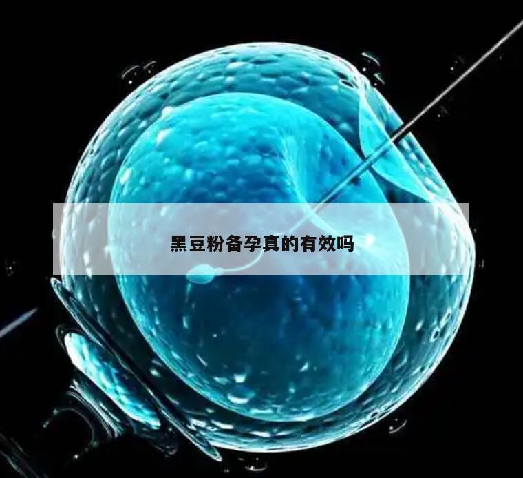 黑豆粉备孕真的有效吗