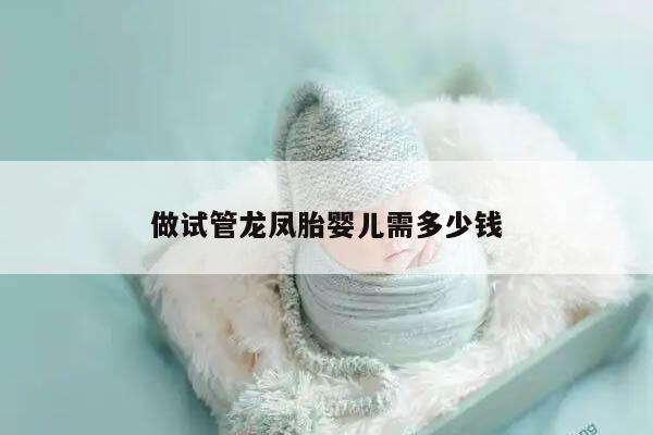 做试管龙凤胎婴儿需多少钱