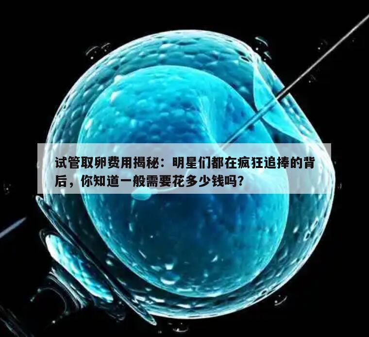 试管取卵费用揭秘：明星们都在疯狂追捧的背后，你知道一般需要花多少钱吗？