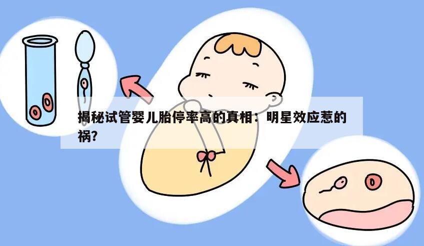 揭秘试管婴儿胎停率高的真相：明星效应惹的祸？