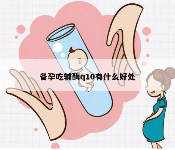 备孕吃辅酶q10有什么好处
