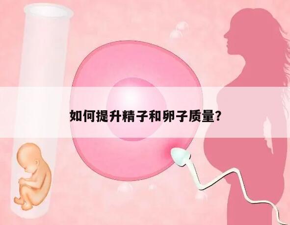如何提升精子和卵子质量？