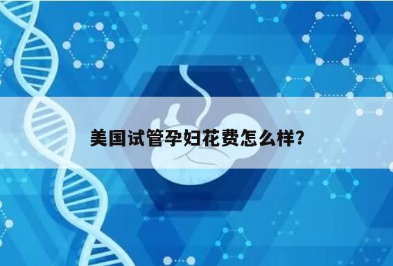 美国试管孕妇花费怎么样？