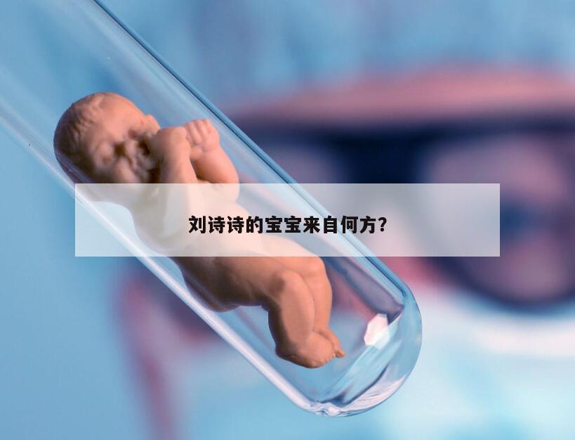 刘诗诗的宝宝来自何方？
