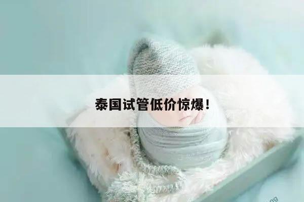 泰国试管低价惊爆！