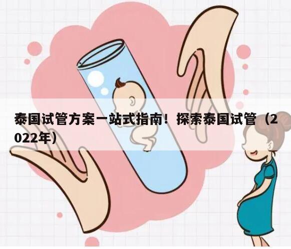 泰国试管方案一站式指南！探索泰国试管（2022年）