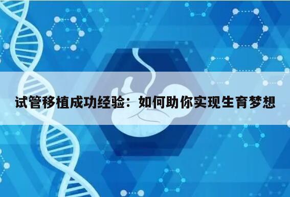 试管移植成功经验：如何助你实现生育梦想