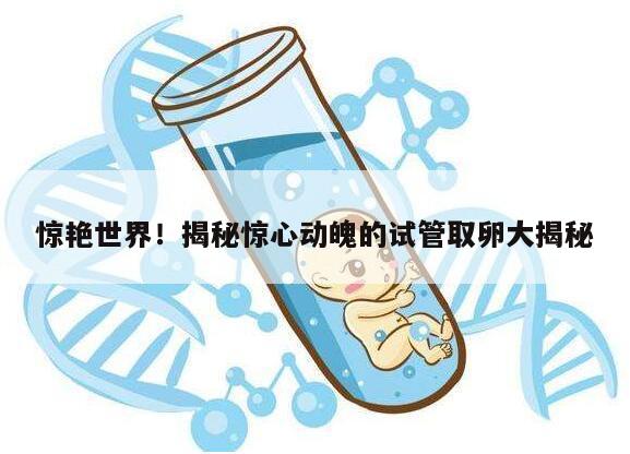 惊艳世界！揭秘惊心动魄的试管取卵大揭秘