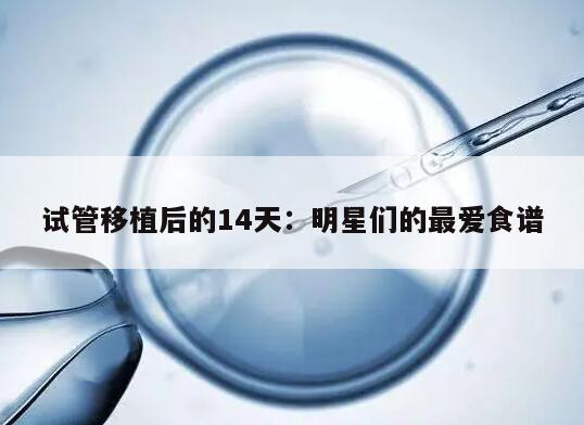 试管移植后的14天：明星们的最爱食谱