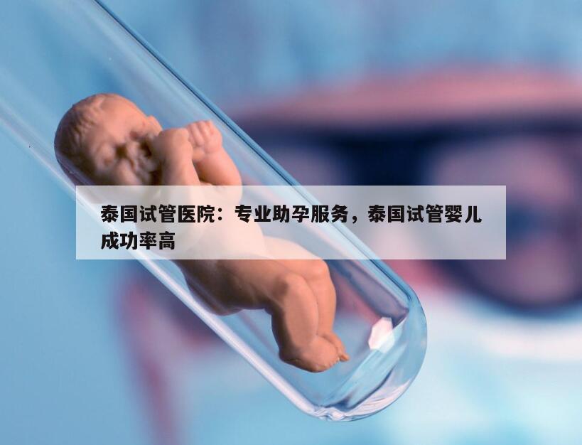 泰国试管医院：专业助孕服务，泰国试管婴儿成功率高