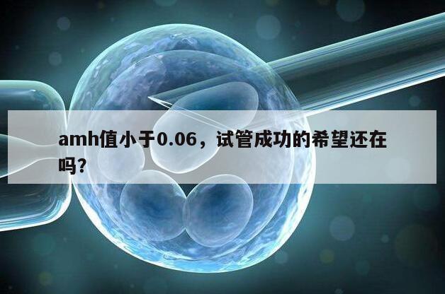 amh值小于0.06，试管成功的希望还在吗？
