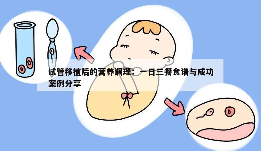 试管移植后的营养调理：一日三餐食谱与成功案例分享