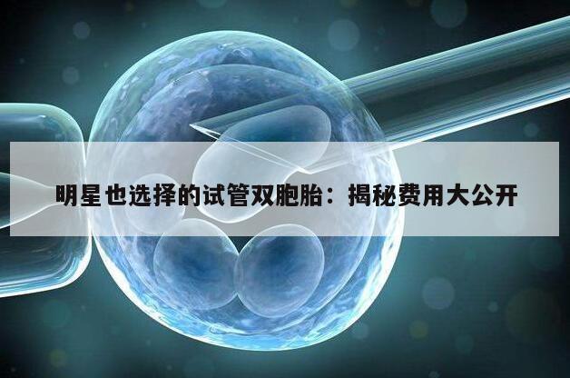 明星也选择的试管双胞胎：揭秘费用大公开