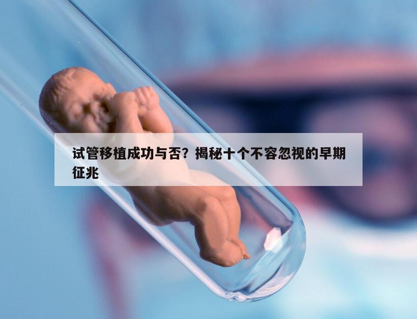 试管移植成功与否？揭秘十个不容忽视的早期征兆