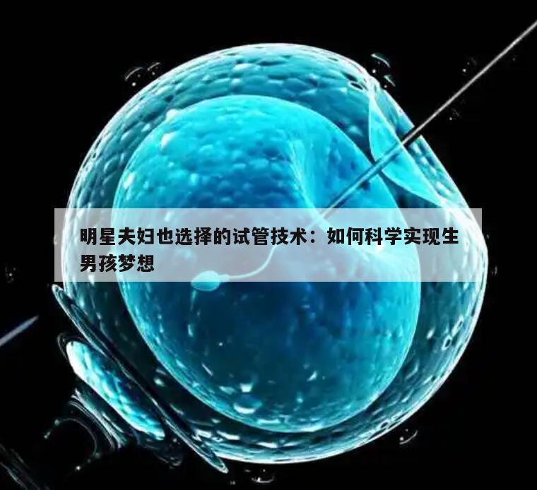 明星夫妇也选择的试管技术：如何科学实现生男孩梦想